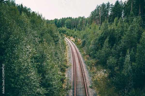 Fototapeta railway for trains in a green forest in summer