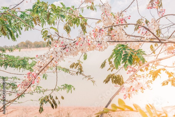 Obraz branch with red leaves