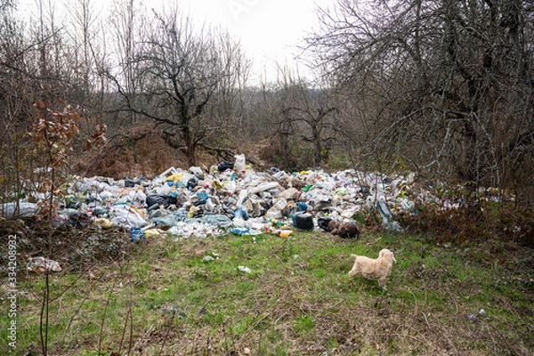 Fototapeta Garbage in the forest. People illegally throwing garbage into the forest.  Illegal garbage dump in nature.