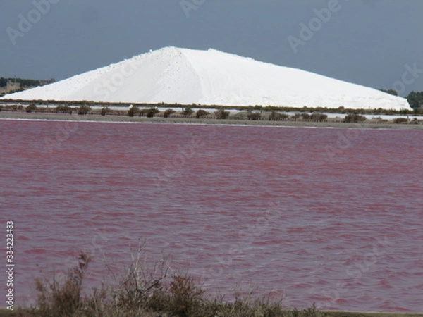 Obraz recolte de sel