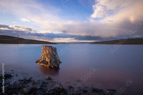 Fototapeta Tree stump in calm water with stormy clouds during sunset