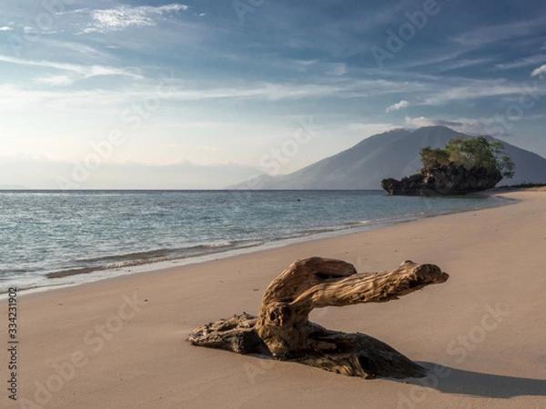 Obraz OLYMPUS DIGITAL CAMERA