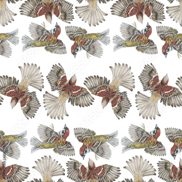 Obraz Seamless pattern with flying sparrows in white background