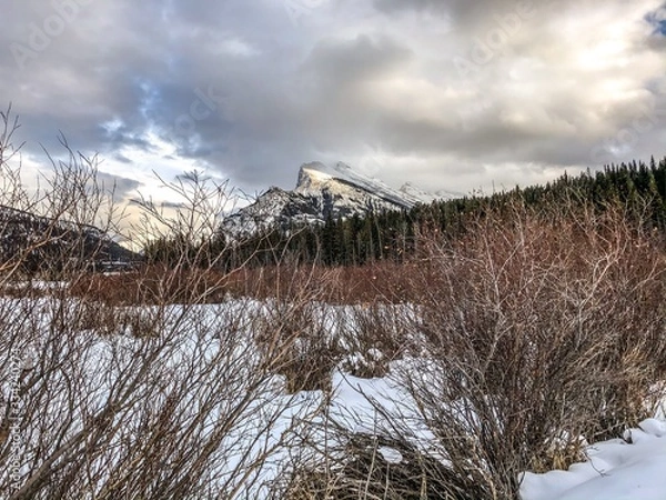 Fototapeta Rocky Mountains