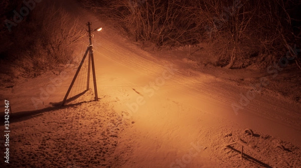 Obraz tree in the fog