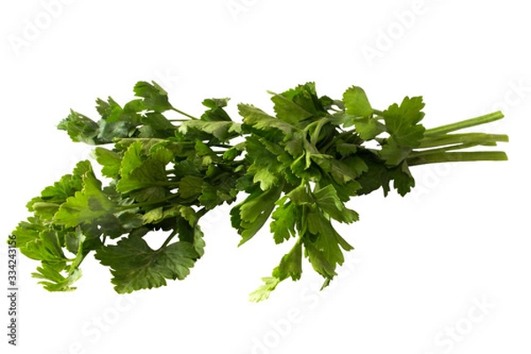 Obraz Green branch of fresh parsley. The image is isolated on a white background.
