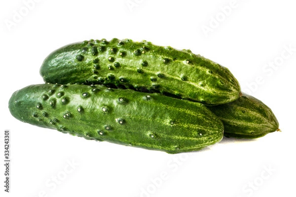 Obraz Image of fresh cucumbers isolated on a white background.