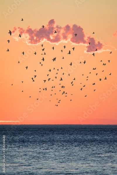 Fototapeta atardecer