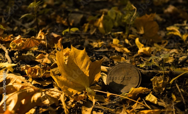 Obraz Краски весны и осени