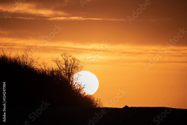 Obraz sunset in the forest