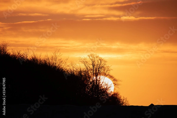 Obraz sunset in the forest