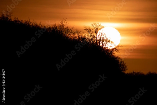 Obraz sunset in the forest