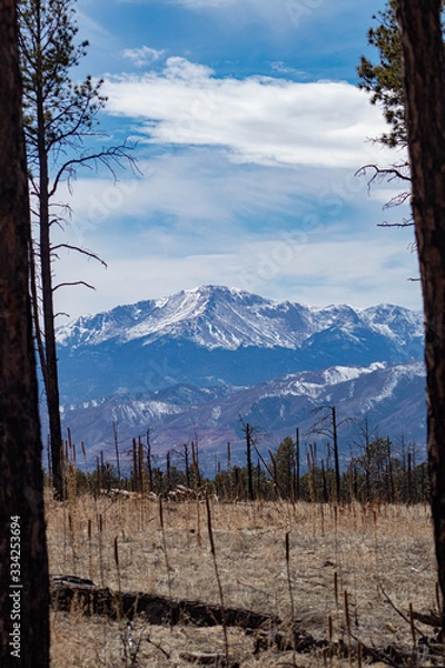 Obraz pikes peak with snow