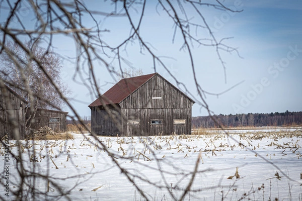 Obraz old barn in winter