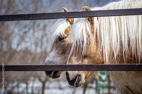 Obraz Being Two Is Always Better Than Alone