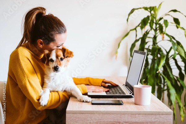 Obraz young woman working on laptop at home,cute small dog besides. work from home, stay safe during coronavirus covid-2019 concpt