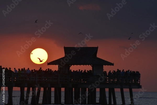 Obraz Sunset with birds Naples, FL