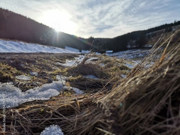 Obraz lake in mountains
