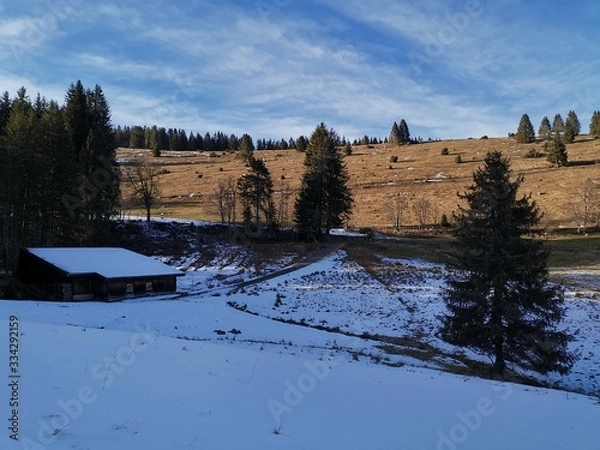 Obraz castle in winter