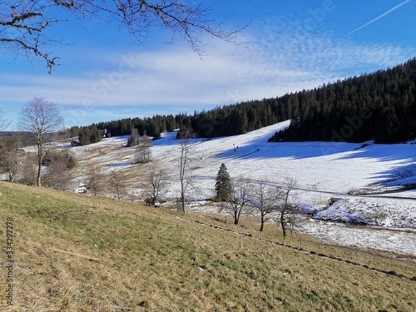 Obraz landscape in winter