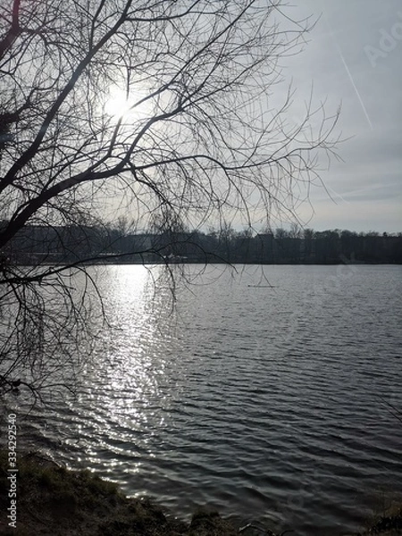 Obraz sunset on lake