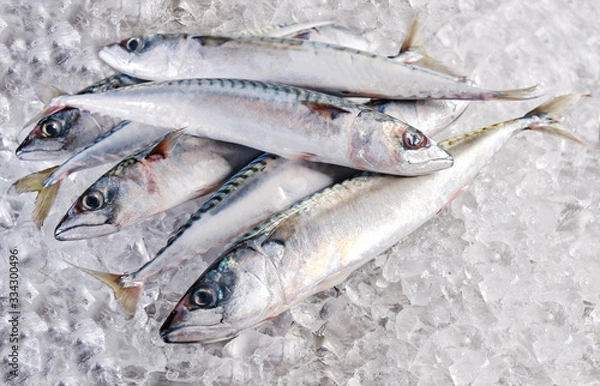 Obraz fresh mackerel lying on ice