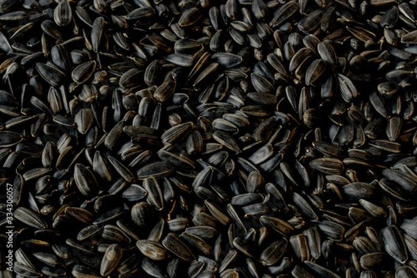 Obraz Background, texture. Sunflower seeds image.