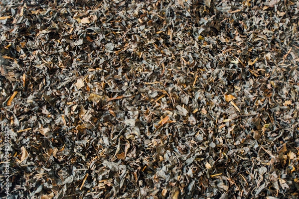 Obraz Background. Shredded leafy black tea.