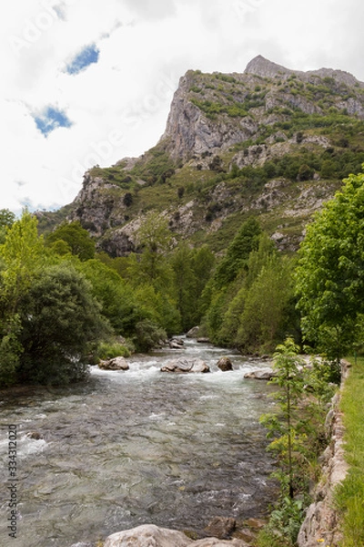Obraz river in the mountains