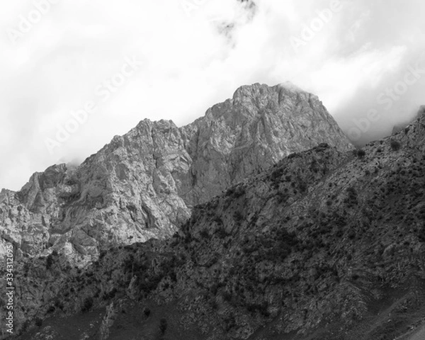 Obraz mountains in spring