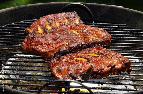 Obraz ribs