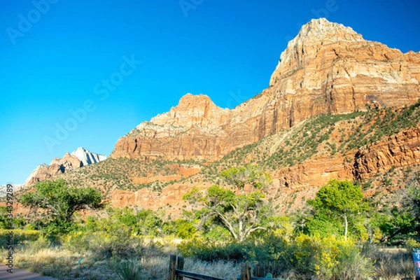 Obraz Desert Mountain with a Few Trees