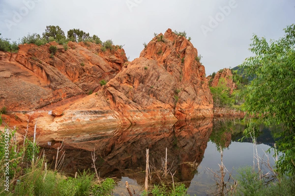 Obraz The red monster