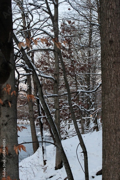 Obraz A crisp look into winter