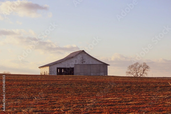 Obraz A red field in the winter
