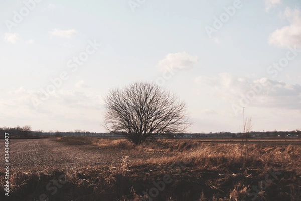 Obraz A crisp cold winter