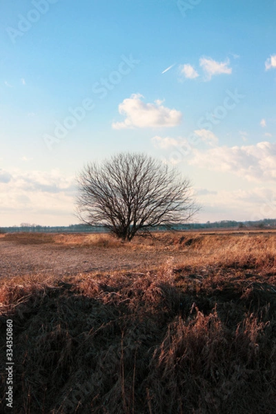 Obraz The color of winter