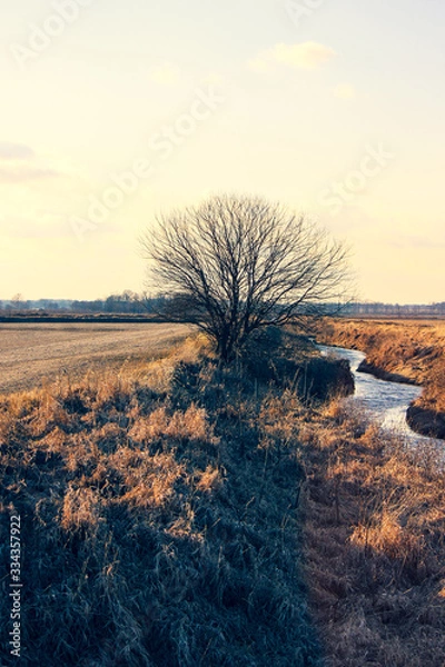 Obraz The beauty of winter