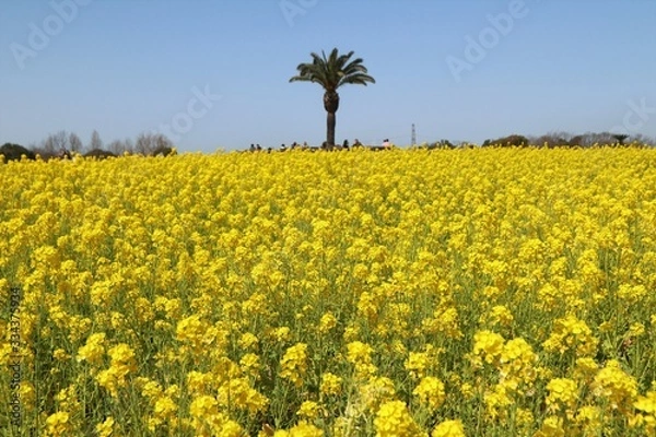 Obraz 和泉リサイクル環境公園