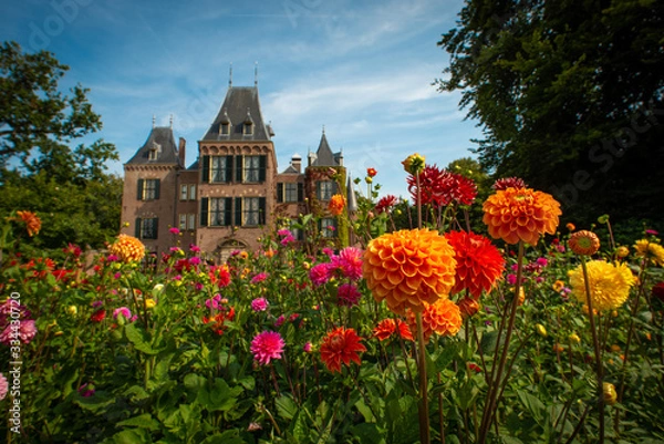 Fototapeta Garden with flowering dahlias in shades of orange and red in front of Keukenhof castle on a sunny day 
