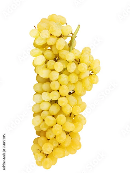 Obraz green grapes isolated on the white background