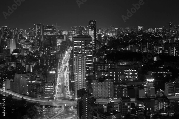 Fototapeta tokyo at night black and white monochrome