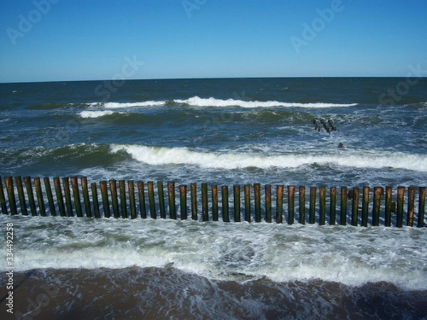 Obraz beach fence