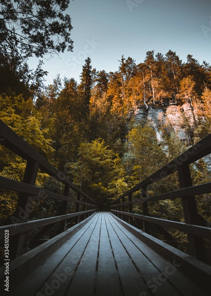 Obraz Brücke in der Kamnitzklamm