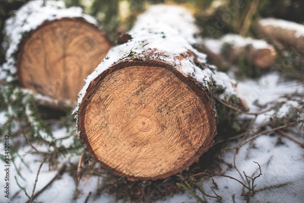 Fototapeta Snow log cut