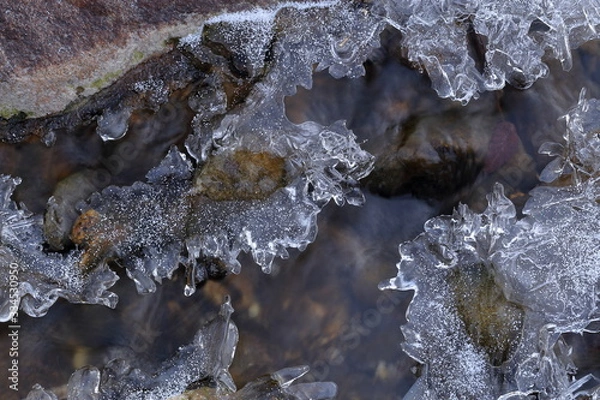 Fototapeta 氷の結晶