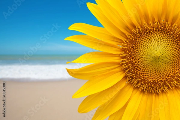 Obraz Sunflower on the beach