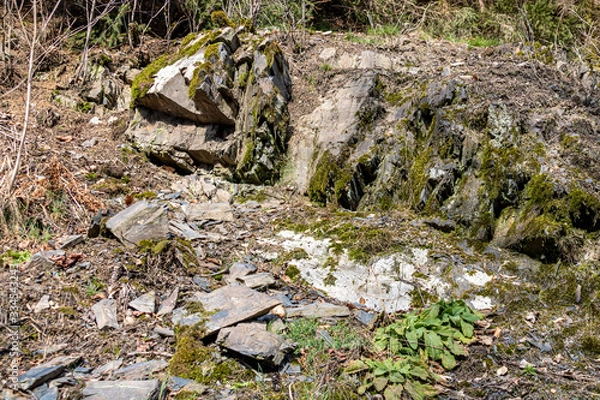Obraz Bergbruchstein Naturschutzgebiet