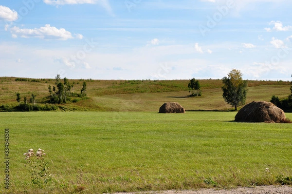 Fototapeta Green field with haystacks and trees. Summer, august