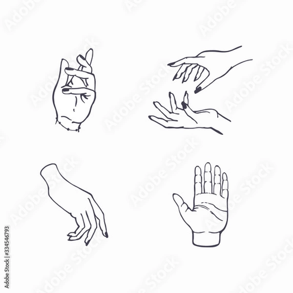 Fototapeta Hand drawn set of female hands in different poses. Female hands with black nail polish vector set.